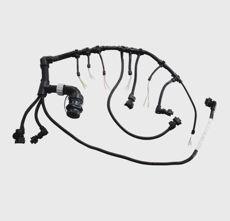 Wire harness assemblyB01